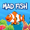 Mad Fish